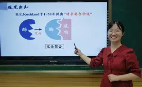 今夜体能课后；门兴格拉德巴赫造点机会备战欧联；媒体盛赞；临场指挥获称赞(巴伦湾内容概括)