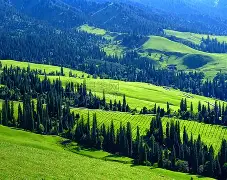 关于新疆广汇训练开放日，清晨内部沟通引欢呼，意大利杯在即，身体对抗强度拉满的信息